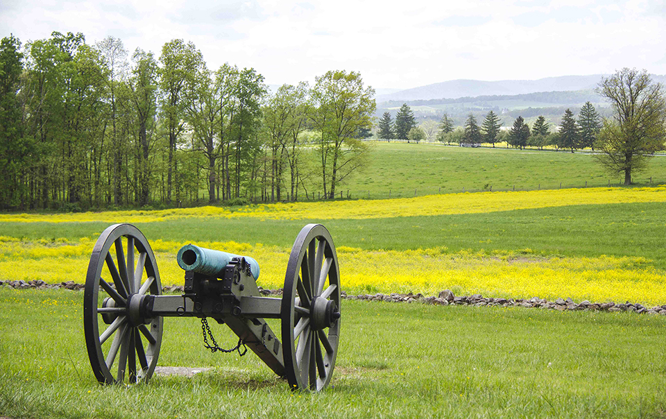 A cannon sits in a green grass field in the lower left side of the picture. Behind it is a low stone wall and yellow flowers and trees in the distance. A cannon sits in a green grass field in the lower left side of the picture. Behind it is a low stone wall and yellow flowers and trees in the distance.