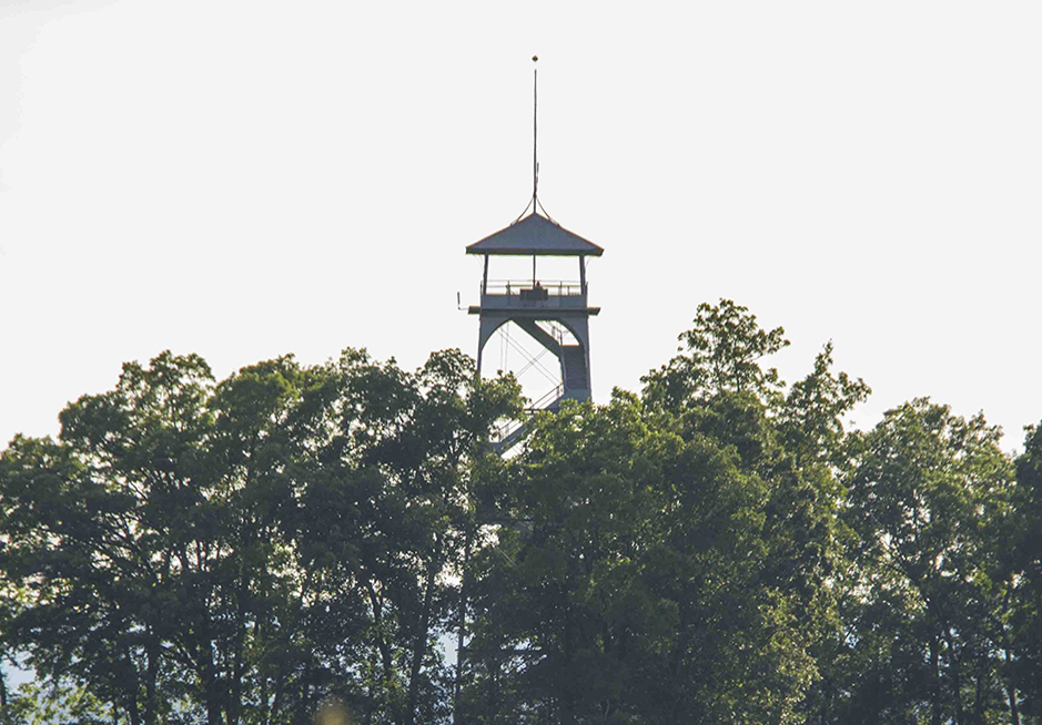 A grey metal observation tower is seen above a line of trees.