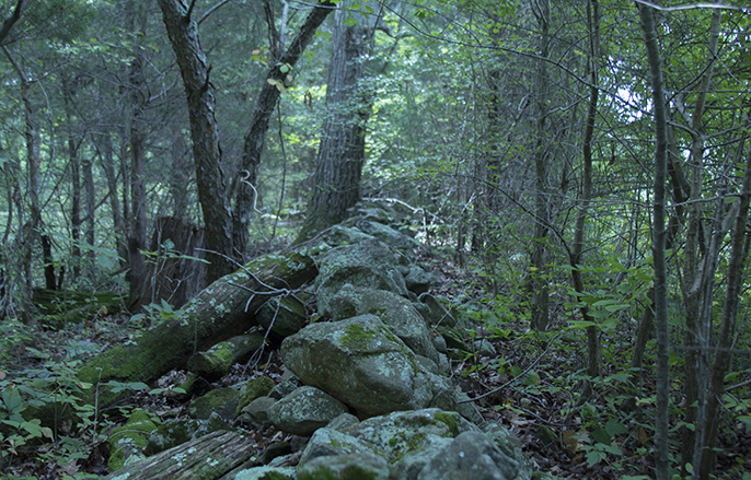 Wilcox's Brigade Stone Wall