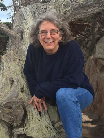 picture of Nancy Cook