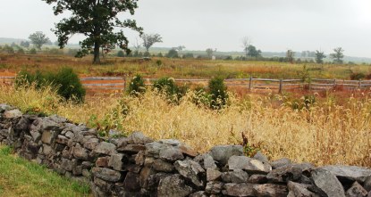 Neinstedt field at GETT with 5th US Artillery battery