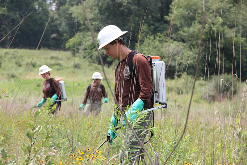 Young adults help maintain and preserve the Gettysburg