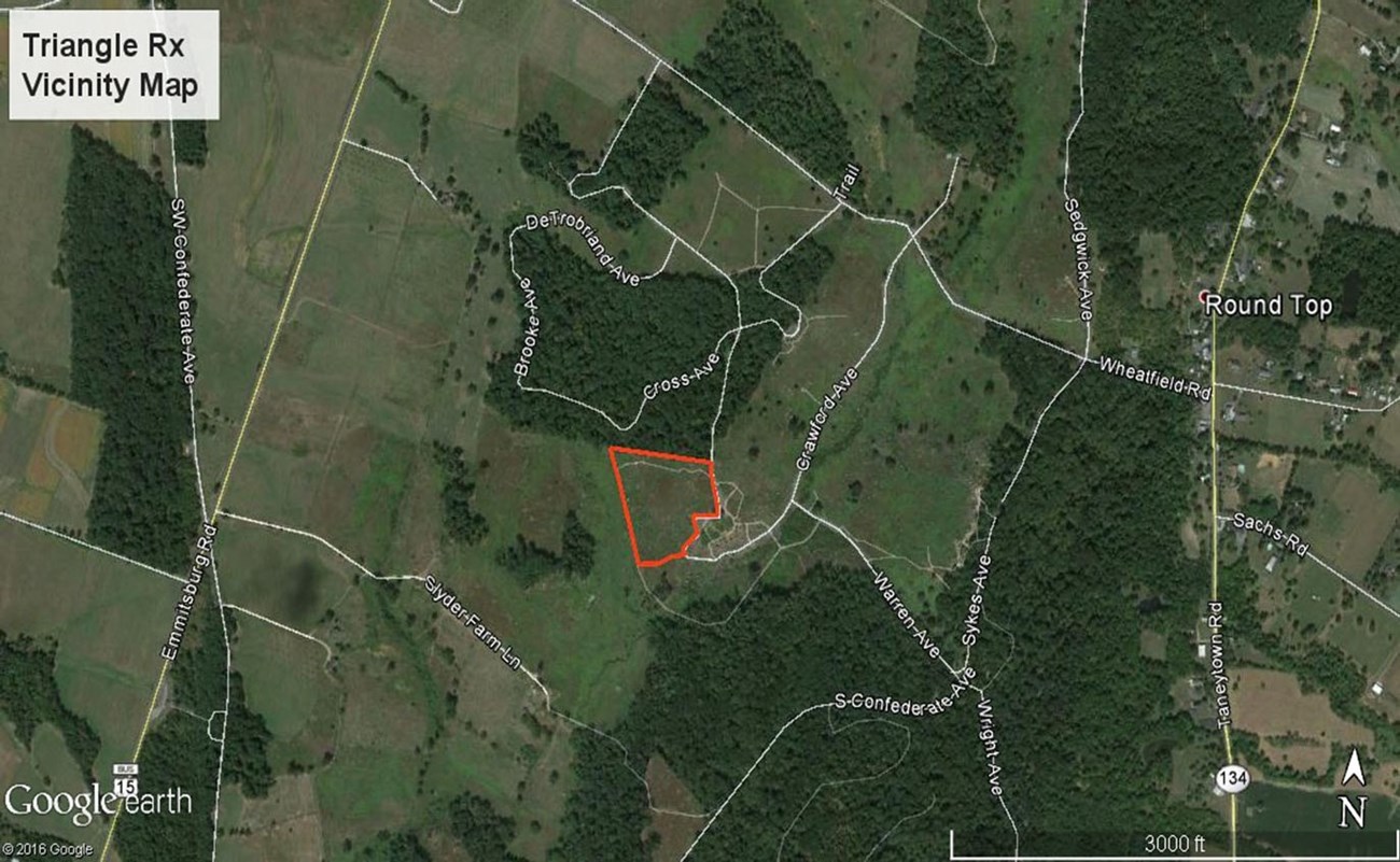 Triangular Field 9-16