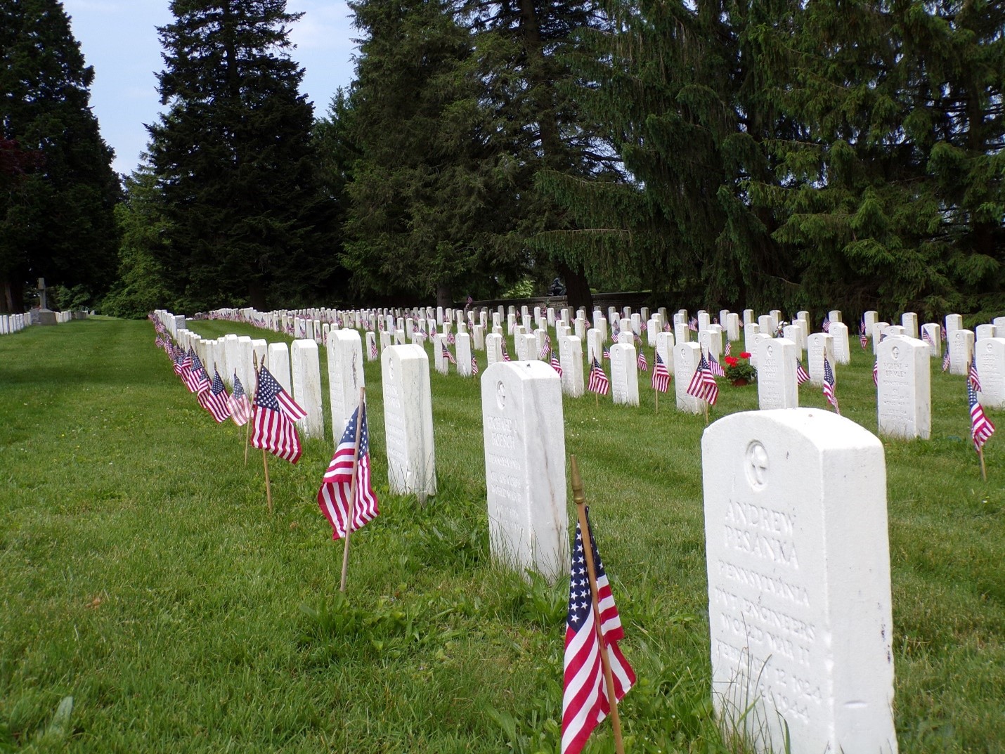 WWII graves in Gettysburg National Cemetery. A color photo of rows of white cemetery headstone with small red, white, and blue United States flags in front of each headstone. There are many tall pine trees in the background with green grass around the headstones.