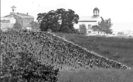 An 1863 picture of a low stone wall, running from the bottom right to the upper left, with two large buildings in the distance.
