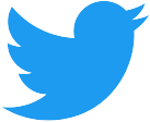 Twitter Icon