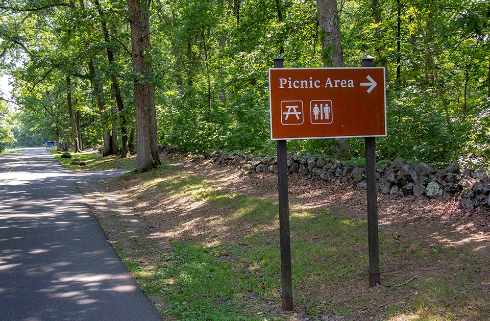 A brown and white Picnic Area sign stands to the right of a park road and to the left of a stone wall and a row of trees.