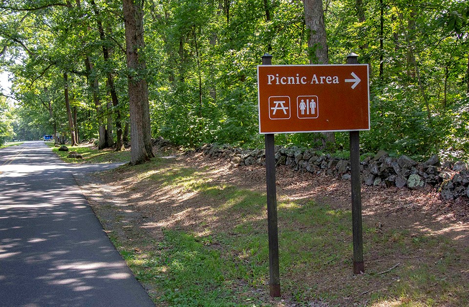 A brown and white Picnic Area sign stands to the right of a park road and to the left of a stone wall and a row of trees.