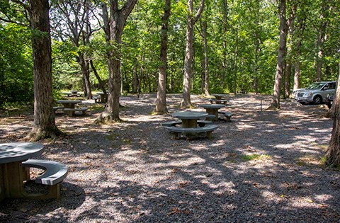 Round, grey picnic table stand in the middle of a clearing among large shade trees. Car parking is along the right side of the photograph.