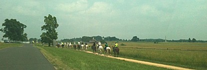 Riders on the bridle trail. Riders on the bridle trail.