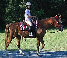 Horseback riding at Gettysburg