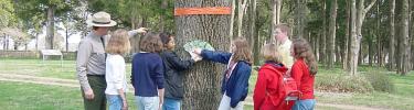 Tree Identification with a Ranger