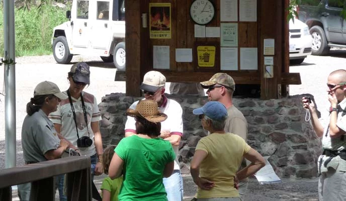 stewardship_in_action