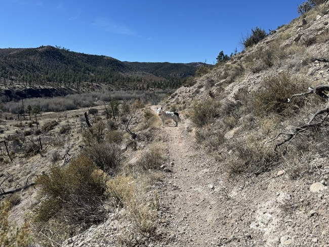 A rugged trail leads up a mountain side