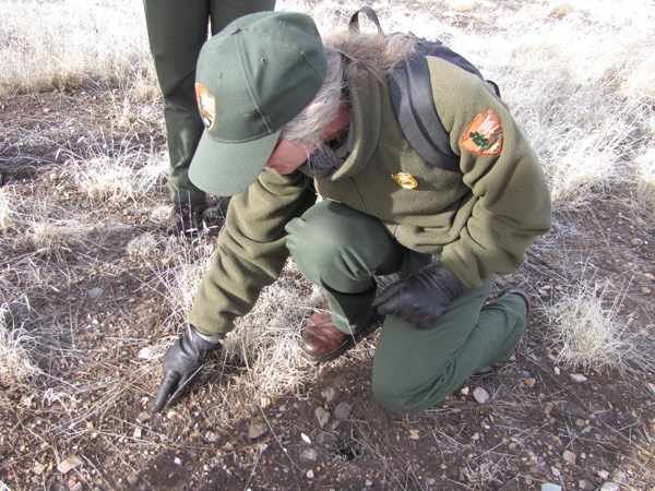 A park ranger points out an artificat found on the ground. A park ranger points out an artificat found on the ground.