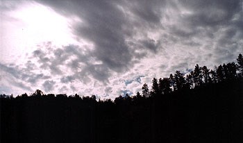 A photo of dark clouds gathering above a tree lined ridge. A photo of dark clouds gathering above a tree lined ridge.