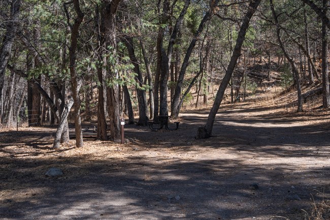 A view of a campsite witha fire ring and picnic table