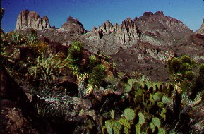 Mojave National Preserve