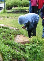 Student looking at plants with a hand lens.