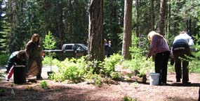planting along a trail