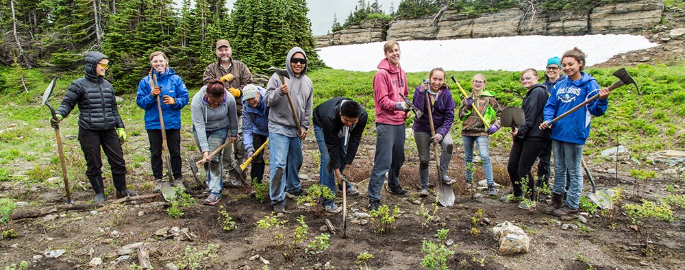 group in line among plants, holding shovels and tools group in line among plants, holding shovels and tools