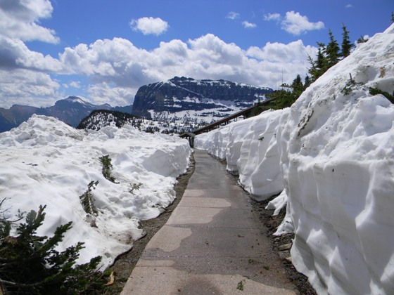 Sidewalk to Logan Pass Vistor Center web