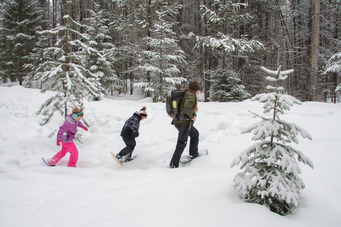 Students in snowshoes follow a ranger through the forest.