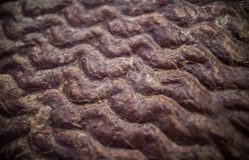 Ripple formations in red argillite.