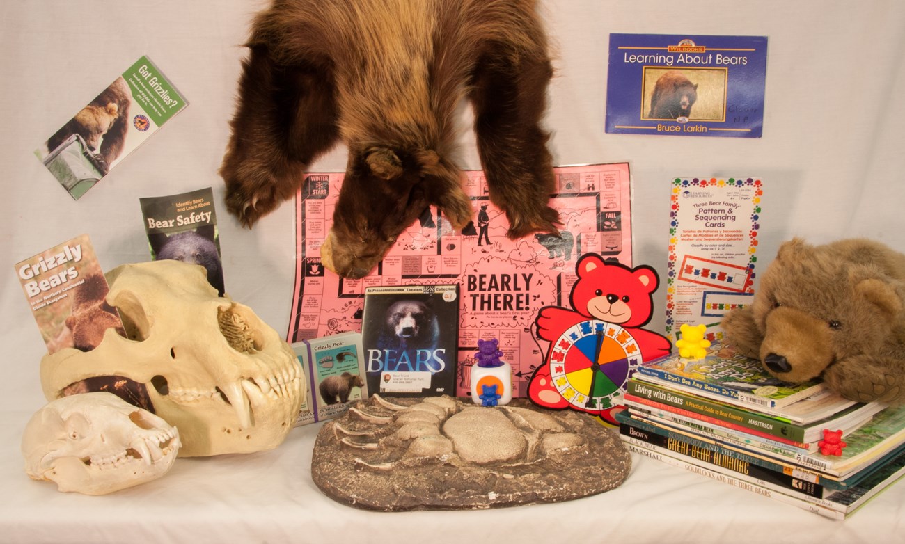 contents of bear trunk-pelt, skulls, books, games