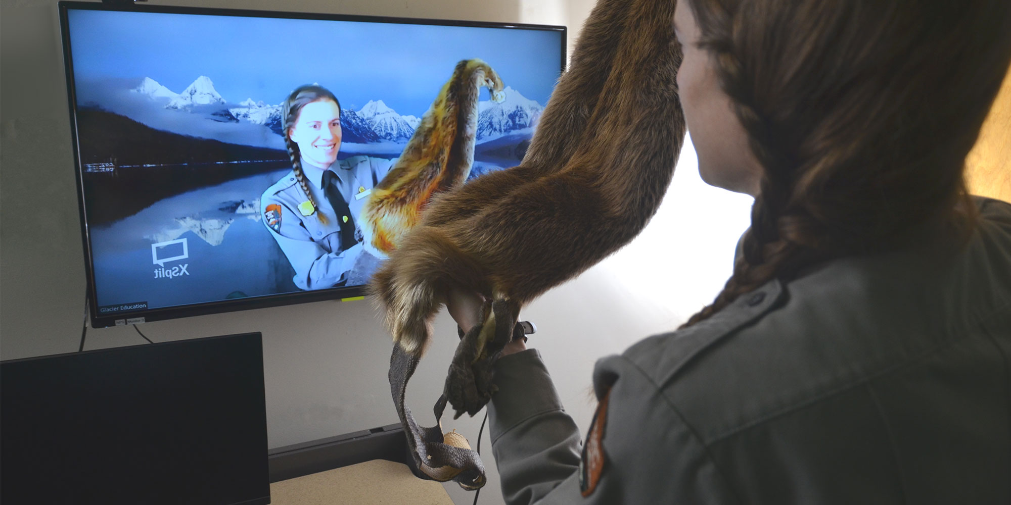 Ranger holds a beaver pelt in front of a webcam, with her image mirrored in the TV in front of her.