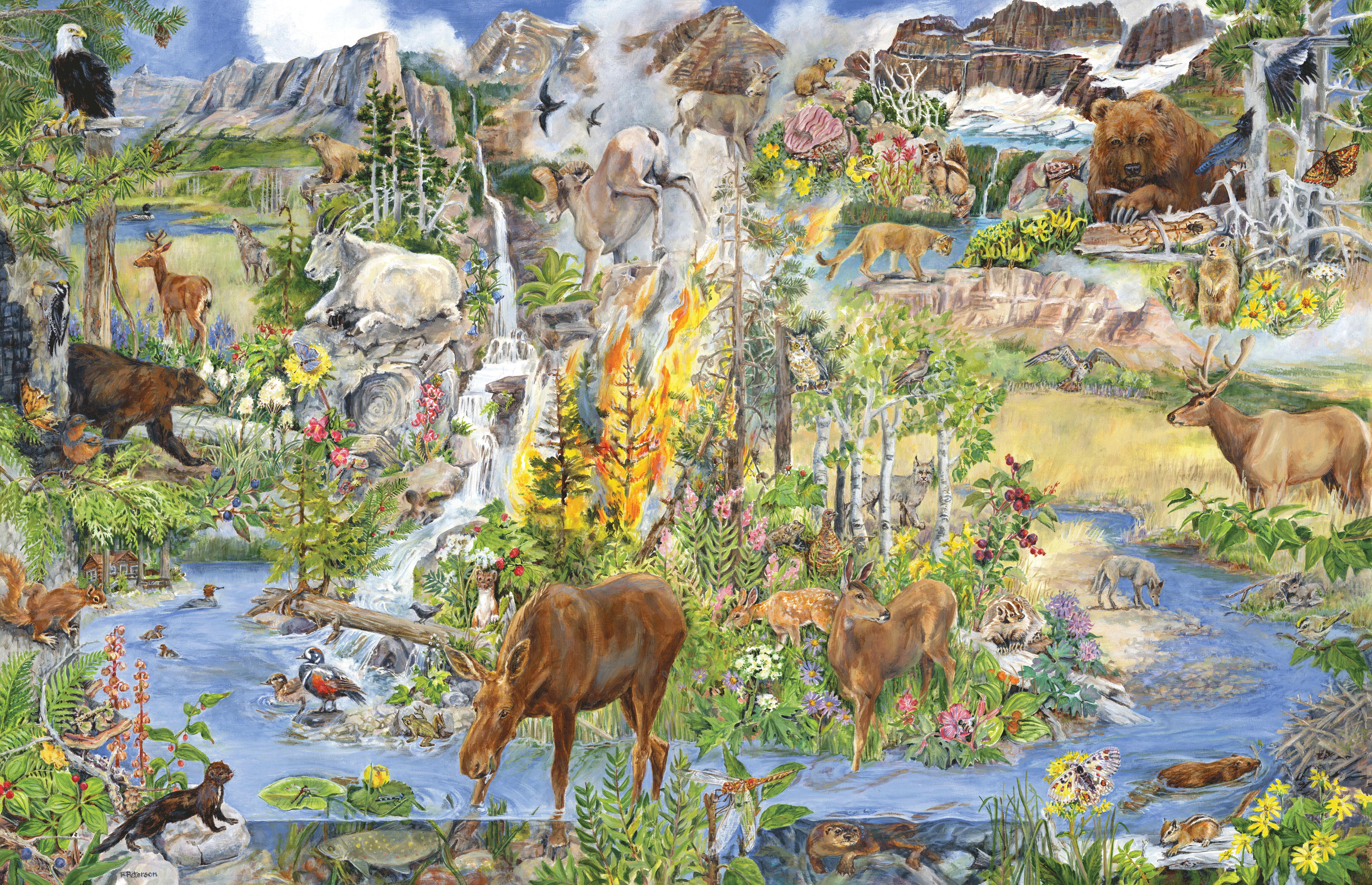 Illustration of wildlife in the park