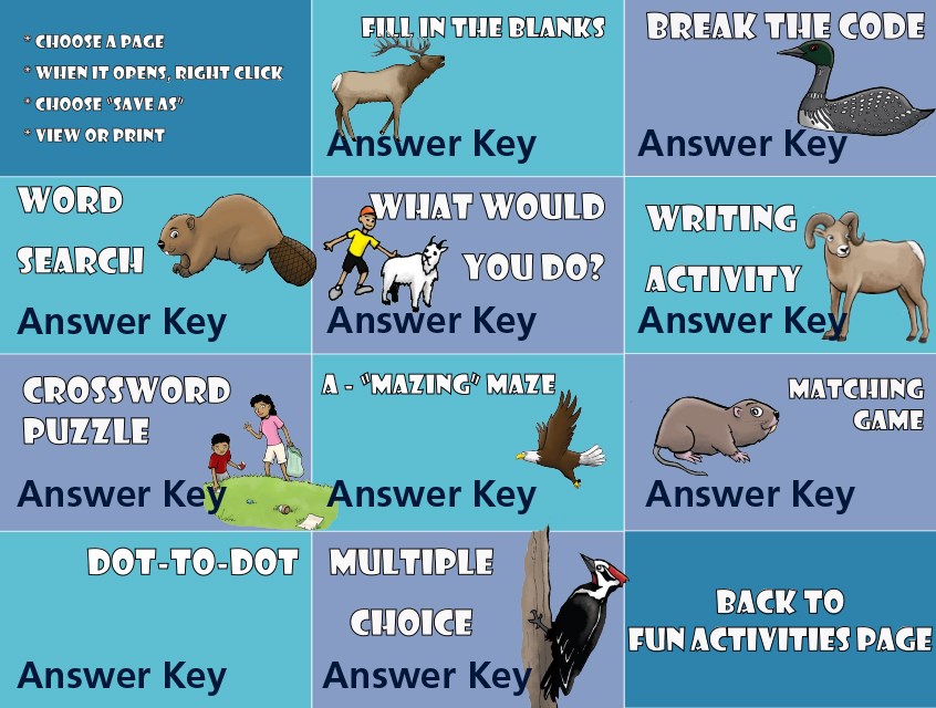 A graphic with links to 11 different activity pages, which are: Fill in the Blanks, Code Breaker, Word Search, What Would you Do?, Writing Activity, Crossword Puzzle, Maze, Matching Game, Dot-to-Dot, Multiple Choice and a Back to Fun Activities Page
