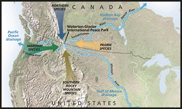 Triple Divide Map