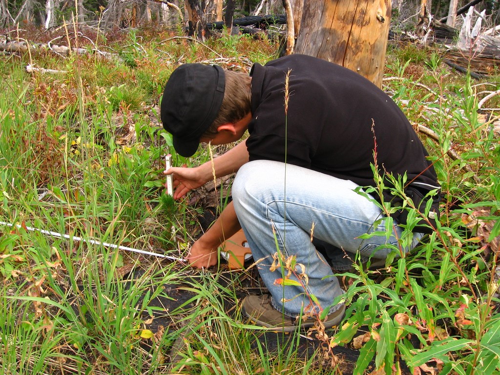 Young man with measuring devices kneels among vegetation on charred ground