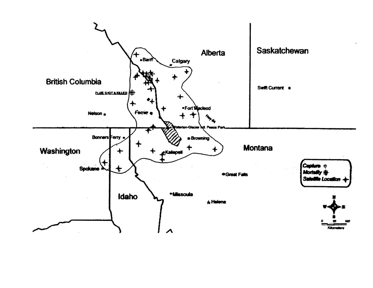 Line map showing range across British Columbia, Montana, Alberta, Idaho, Washington, including Glacier National Park boundaries and using small crosses to mark satellite locations