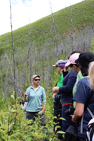 Fire Ecology Hikers pause on trail in recent burn area facing a speaker in sunglasses
