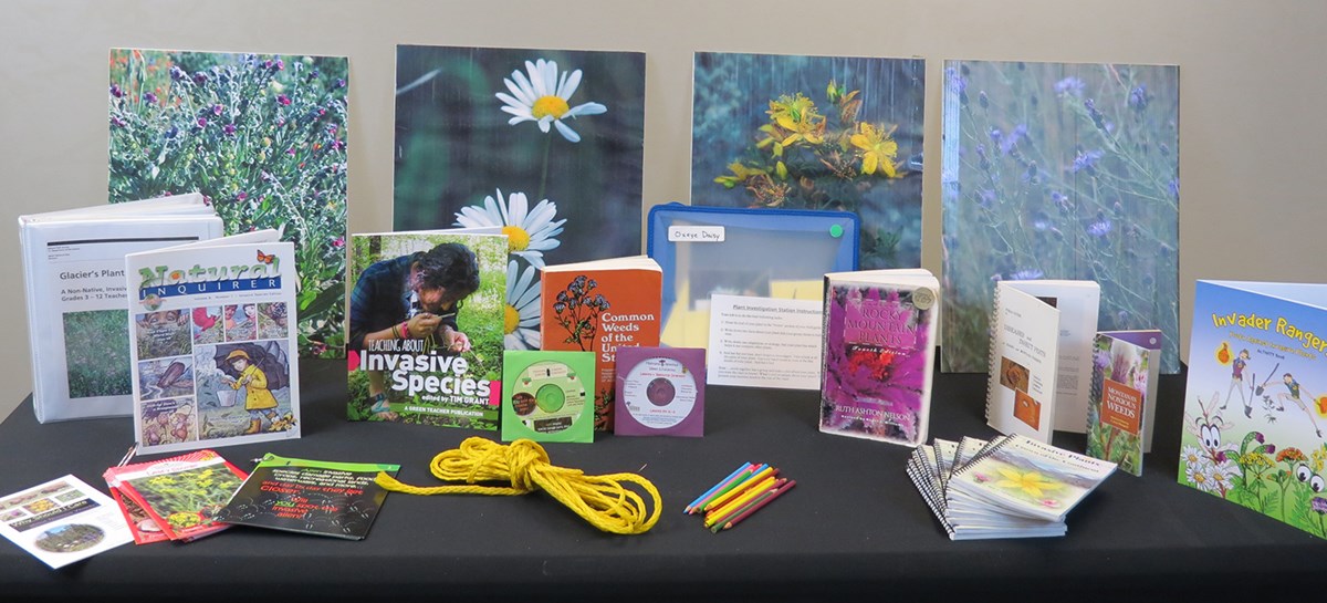 Assortment of books, field guides, photos of weeds spread out on table Assortment of books, field guides, photos of weeds spread out on table