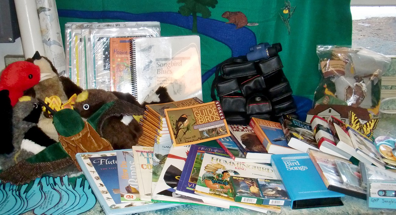 Arranged assortment of binoculars, books, and stuffed birds