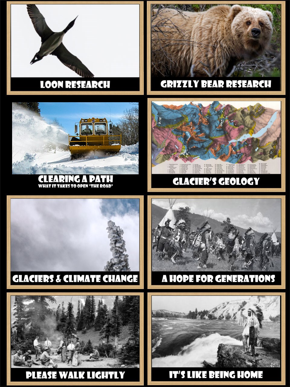 A grid of 8 photos which, when clicked, will take you to one of the eight videos which are: Loon Research, Grizzly Research, Clearing a Path (what it takes to clear the Going-to-the-Sun-Road, Glacier's Geology, Glaciers and Climate Change, and three Nati