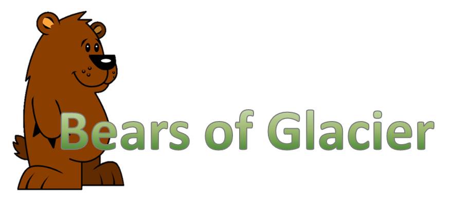 bears of glacier bears of glacier
