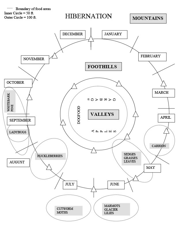 Game playing field diagram showing were each component for game should be placed.