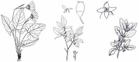 coloring and alphabet books glacier national park u s national field trip coloring page