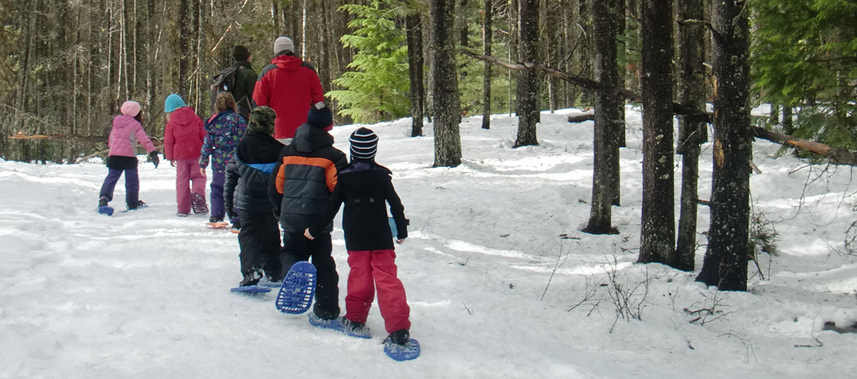 Students on a winter snowshoe hike in forest Students on a winter snowshoe hike in forest