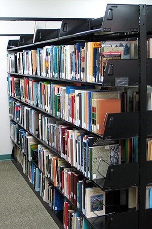 Library bookshelf filled with books