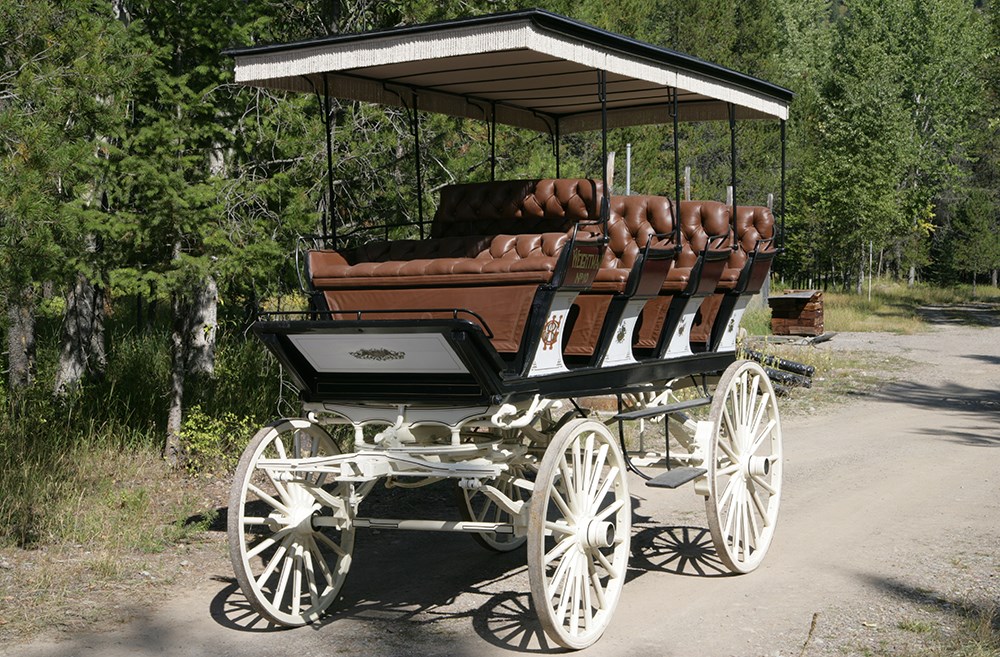 Tall wagon with 4 rows of plush seats and fringe on top