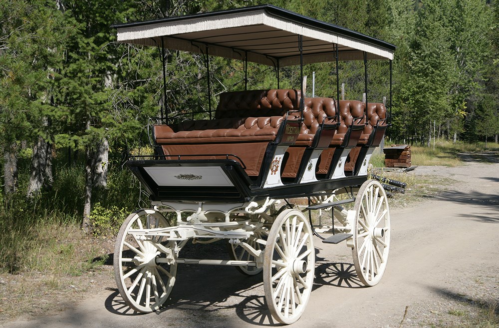 Tall wagon with 4 rows of plush seats and fringe on top Tall wagon with 4 rows of plush seats and fringe on top