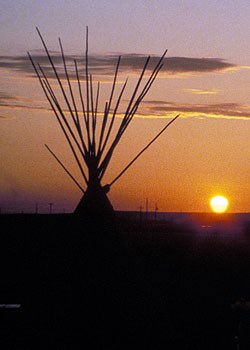 tipi lodgepoles silhouetted by sunset