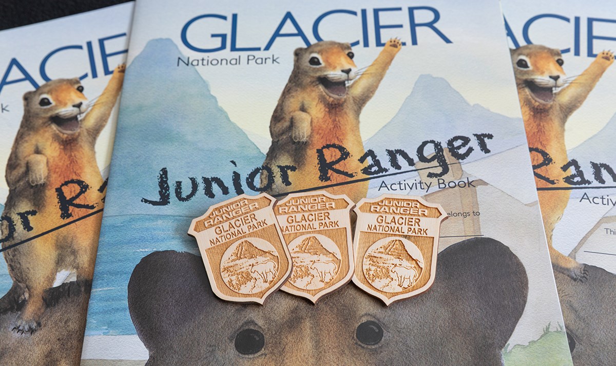 An activity booklet with a bear and squirrel on the cover, a wooden ranger badge, and a pencil.
