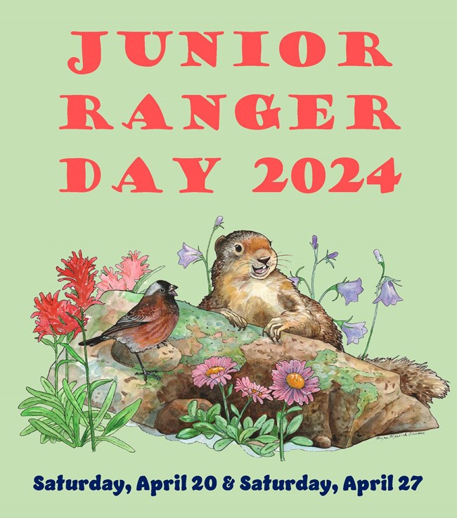Junior Ranger Glacier National Park (U.S. National Park Service)