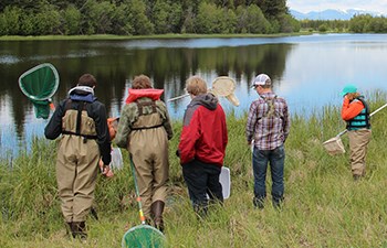 students wearing waders and holding nets  look at wetland